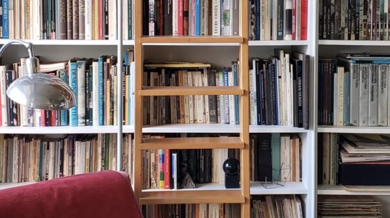 Serie Bibliotecas- Angélica Campi