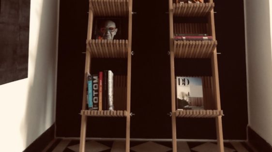 Serie Bibliotecas- Fabián Alejo Parra