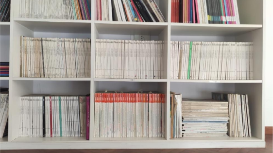 Serie Bibliotecas- José Luis Lorenzo