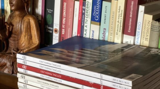 Serie Bibliotecas-Agustina Allende Posse