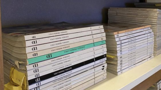 Serie Bibliotecas-Santiago Bertotti