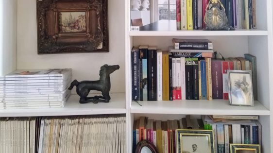 Serie Bibliotecas-Adriana Grin