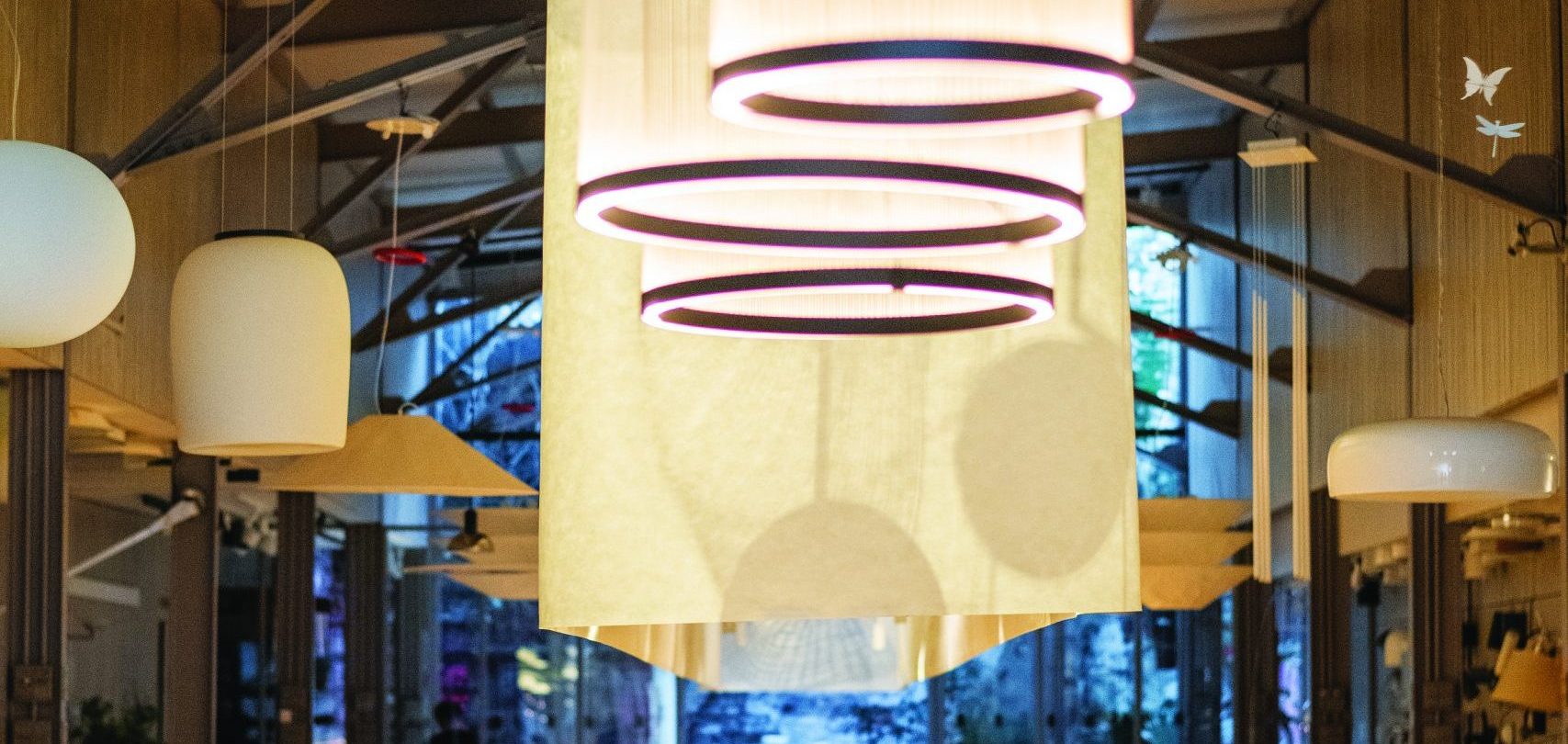 SIETE DÉCADAS DE LUZ