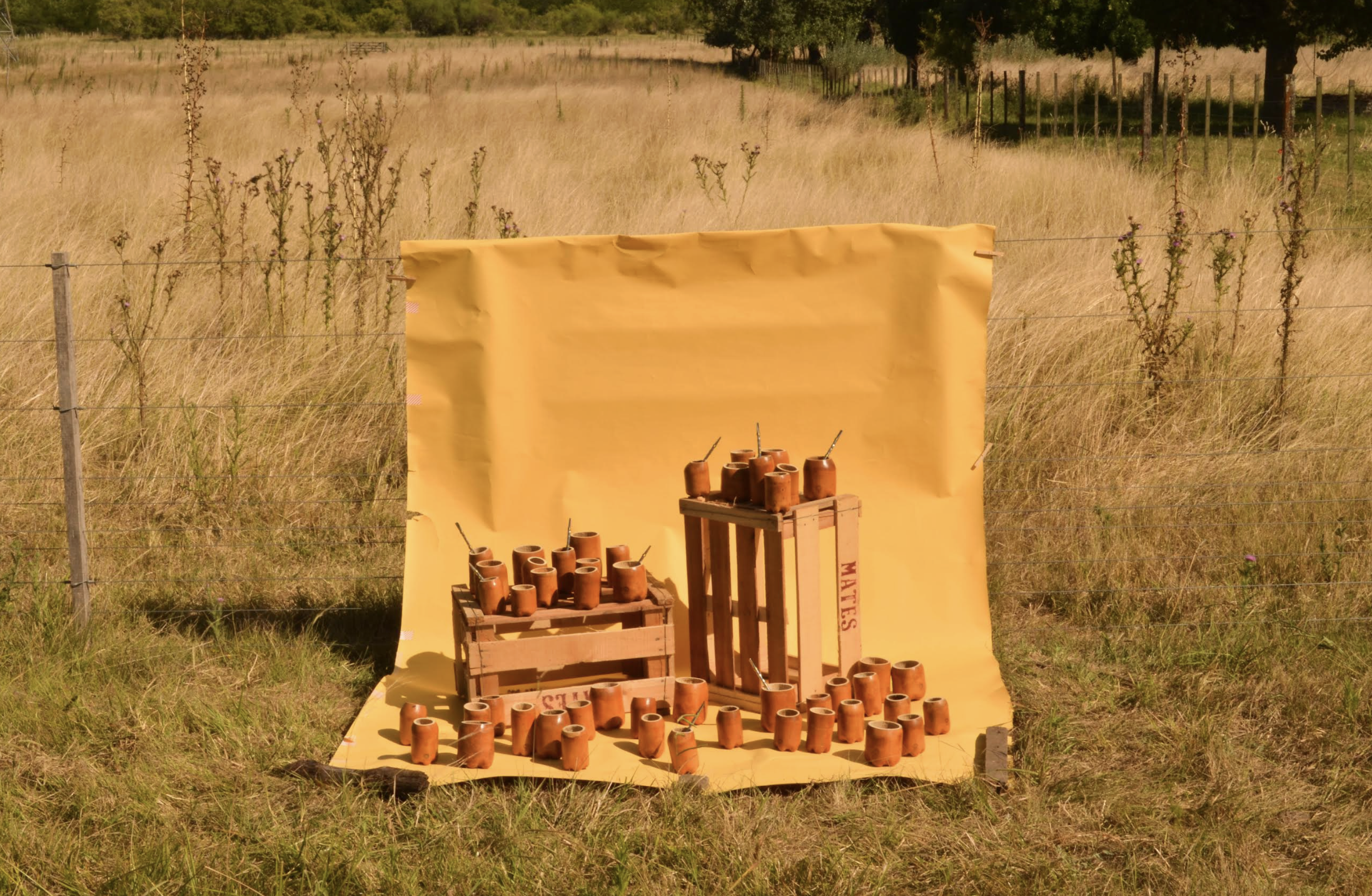 Encuentro Íntimo De Diseño Sudamericano